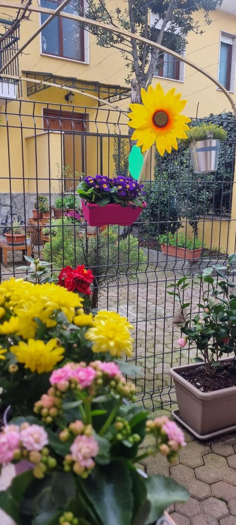Carta Da Zucchero Venaria Reale Esterno foto